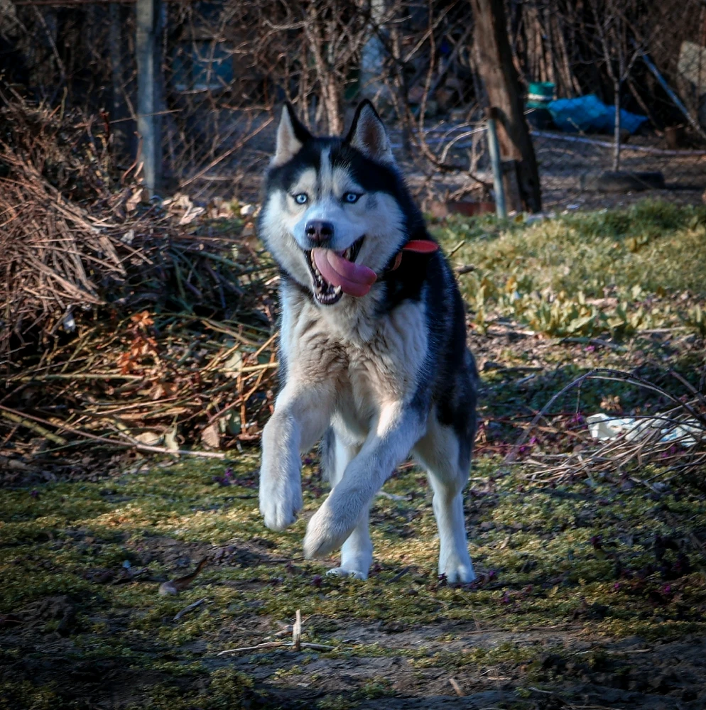 GIF uploaded by Andrei