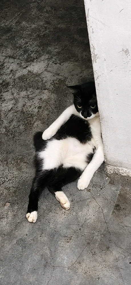 GIF uploaded by Aruzia