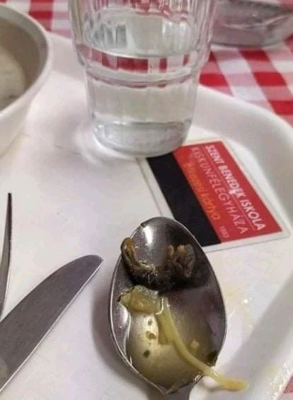 GIF hochgeladen von Roland