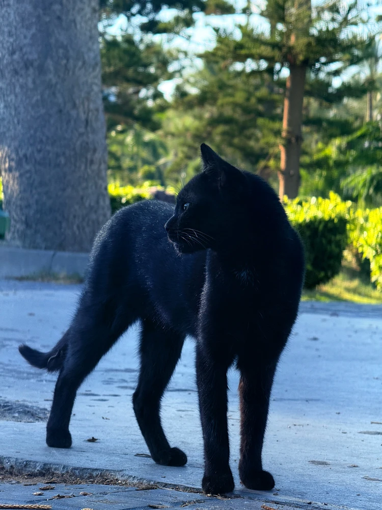 Image uploaded by Younis