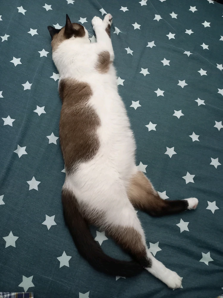 GIF subido por Anders