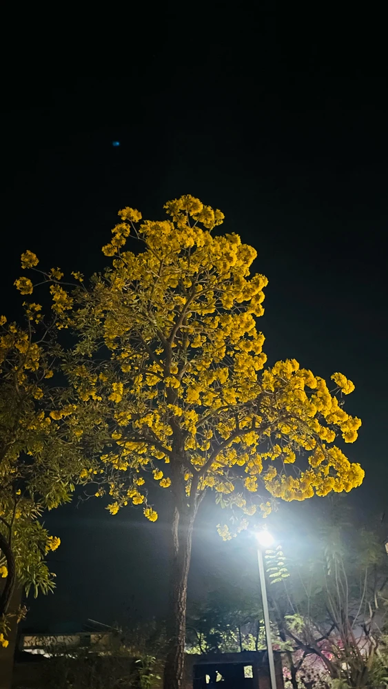 GIF uploaded by One Heart