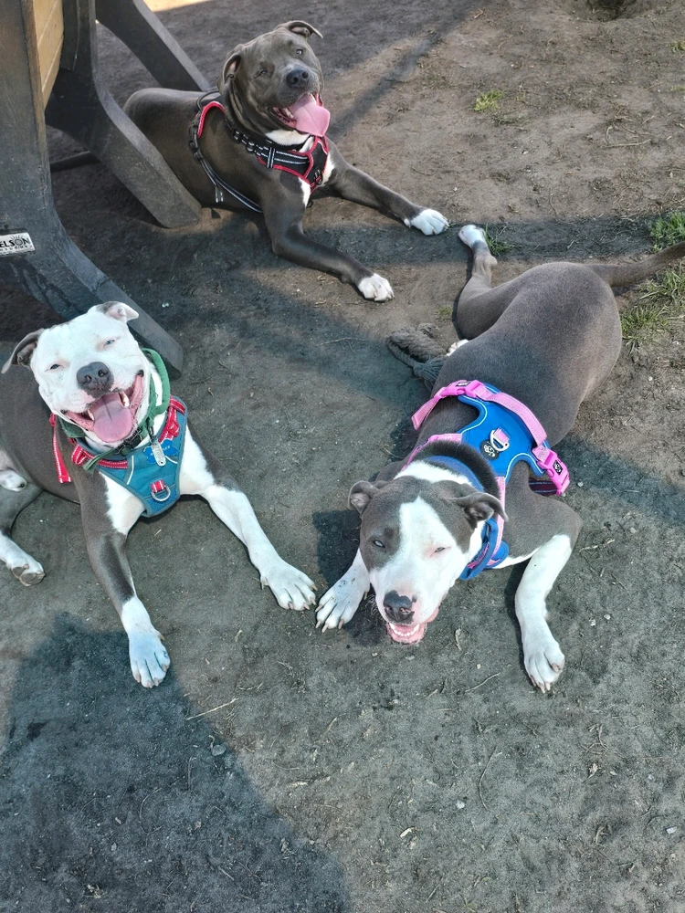 GIF uploaded by Gabbie