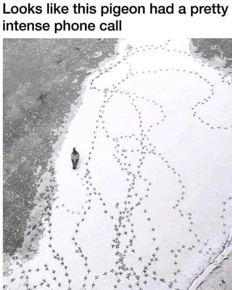 GIF uploaded by Michalis