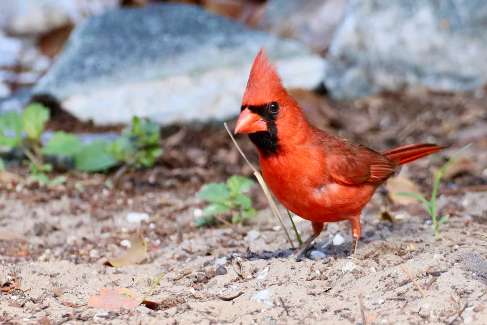 GIF uploaded by Sherlock