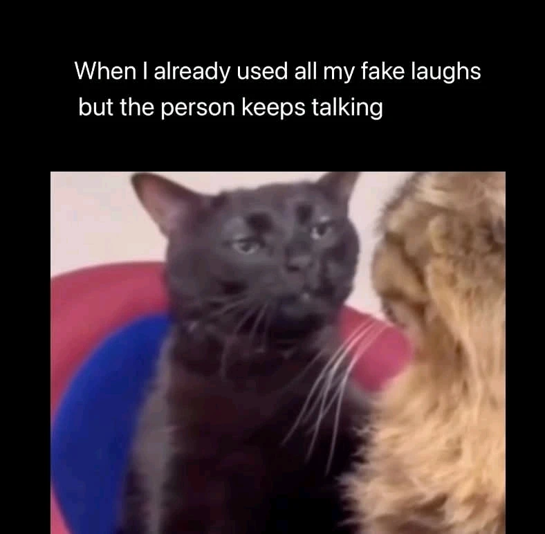 GIF uploaded by Kelcey