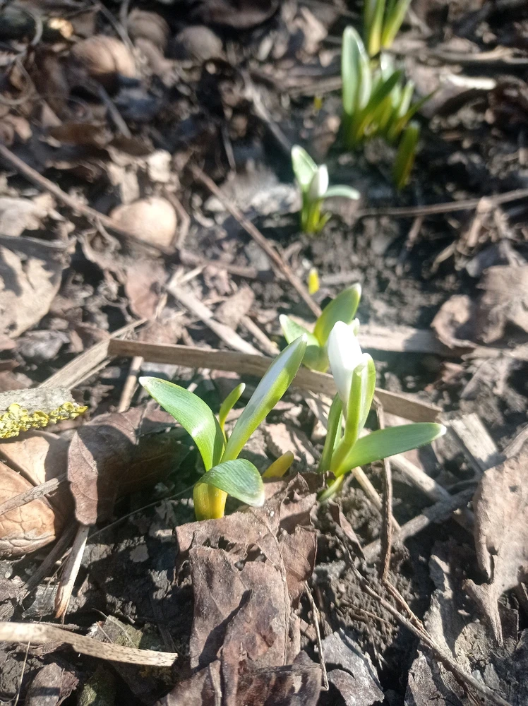 GIF uploaded by Alena