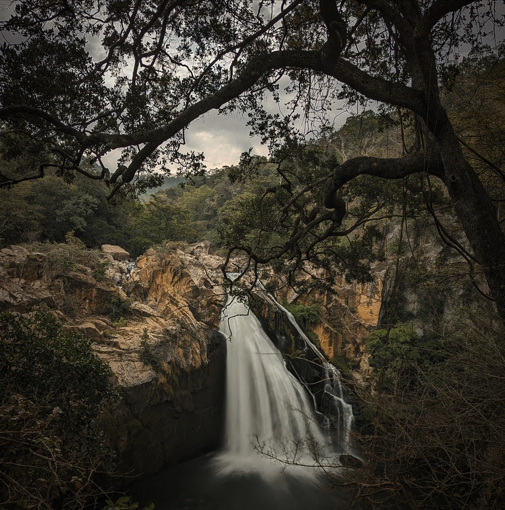 GIF uploaded by Amal