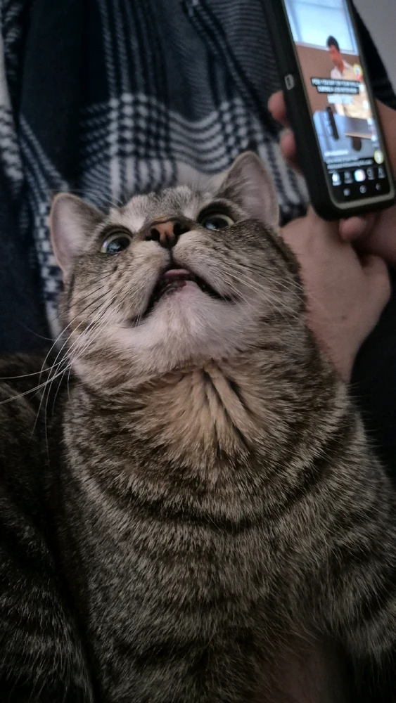 Image uploaded by Lilith Van'Nightinveil