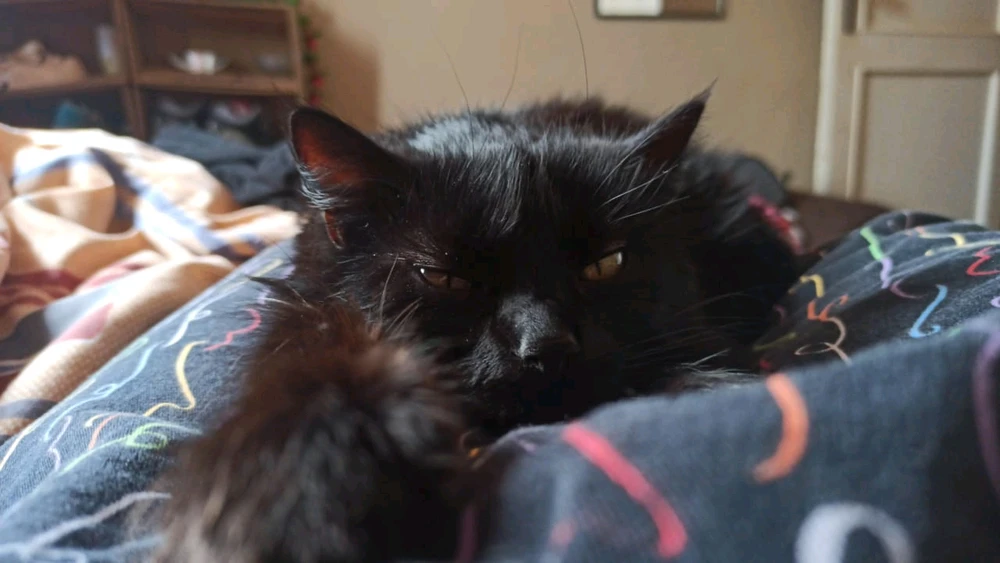 Image uploaded by ATANOD