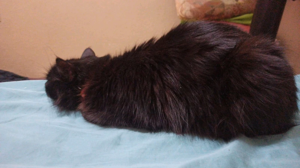 Image uploaded by ATANOD