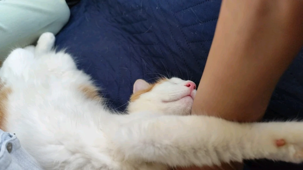 Imagen subida por Joel