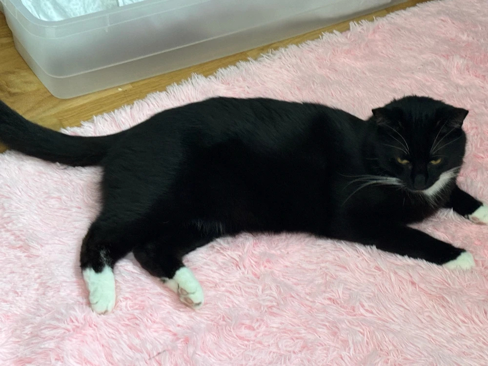 GIF uploaded by Alex