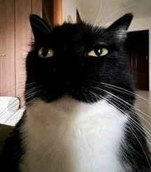 GIF uploaded by Kuba