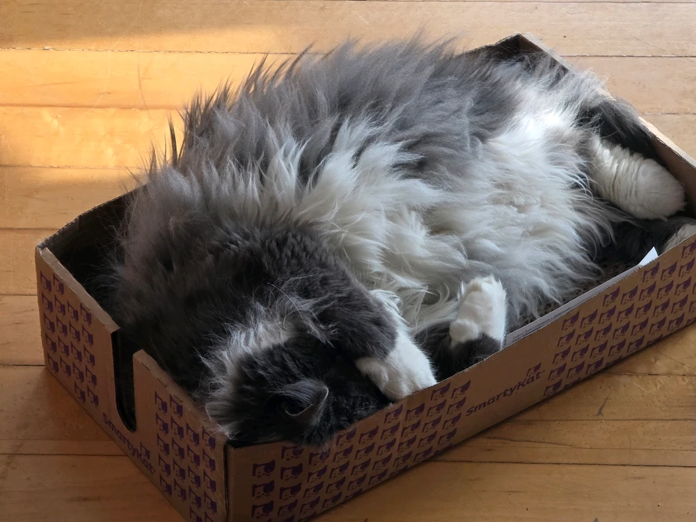 GIF uploaded by Matt