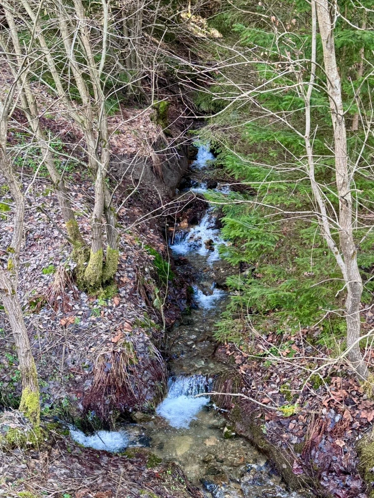 GIF uploaded by Ricarda