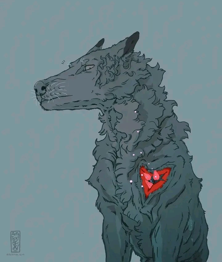 Imagem enviada por Danilo