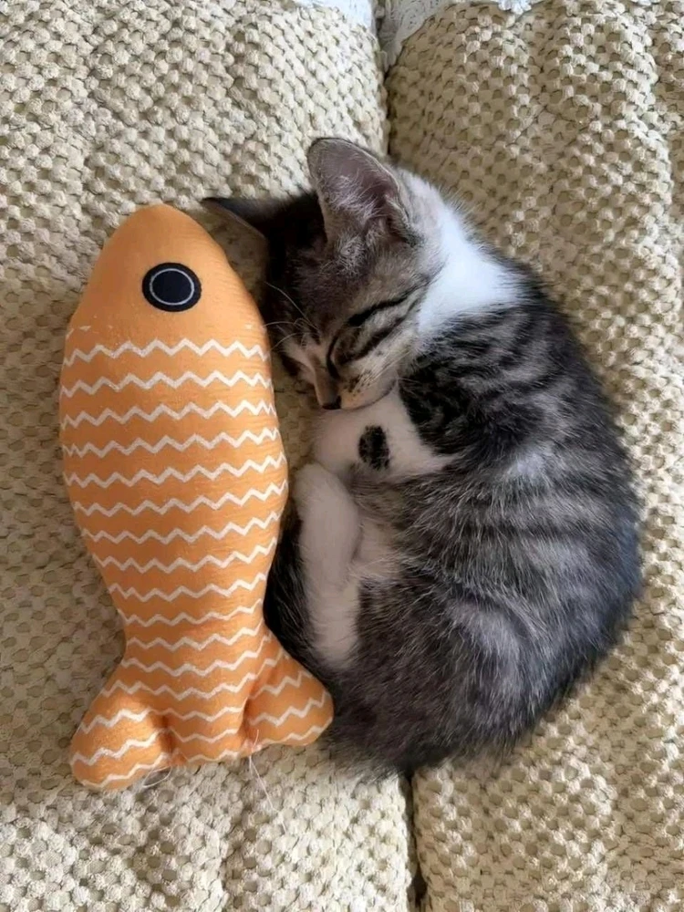 GIF uploaded by Loser