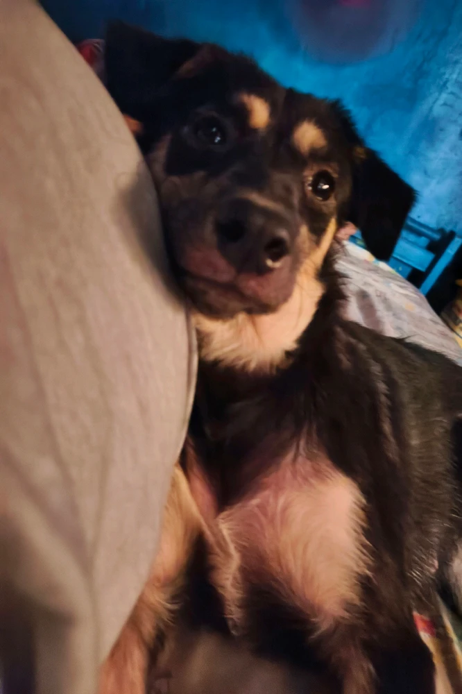 GIF uploaded by Zyyyyy