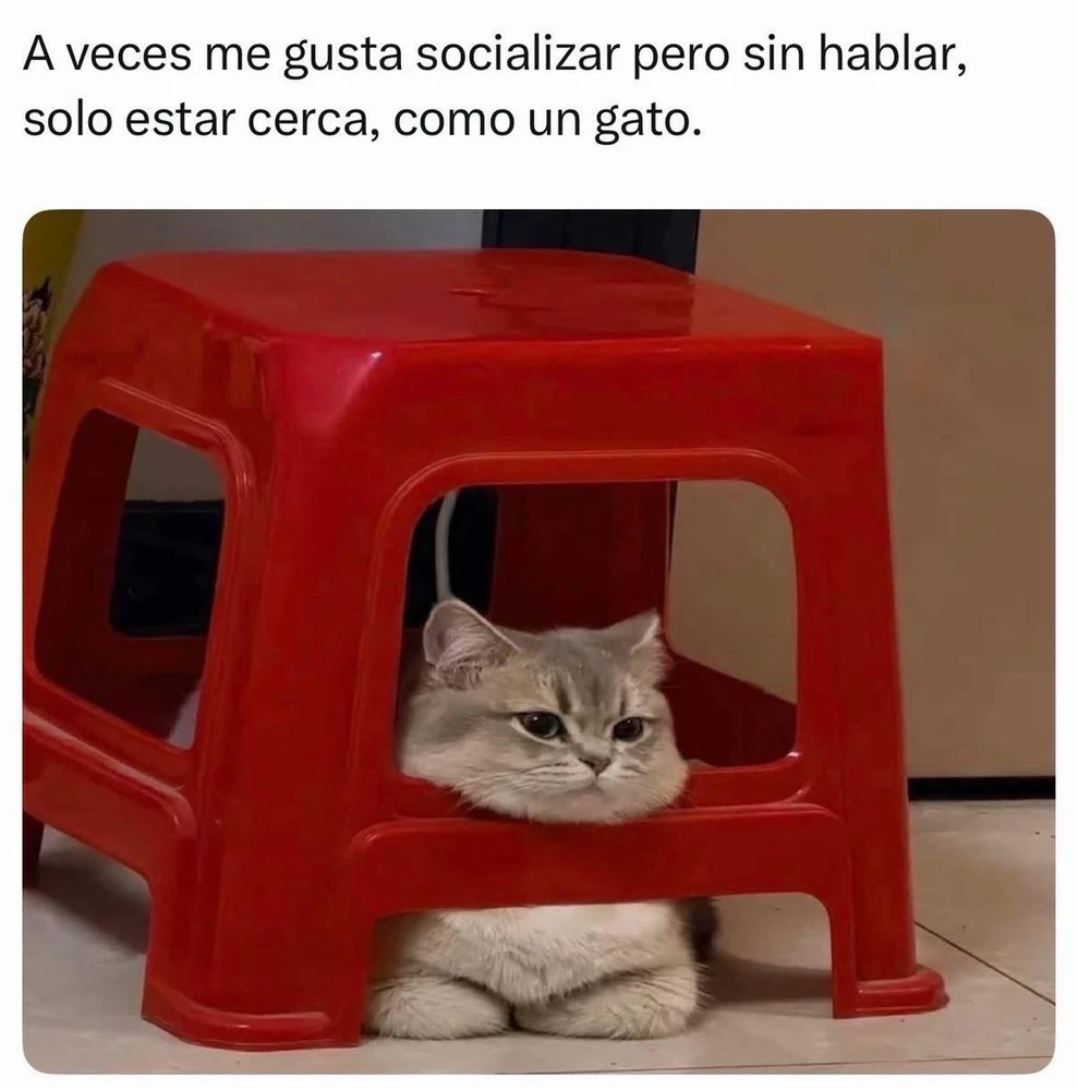 GIF uploaded by Tonny