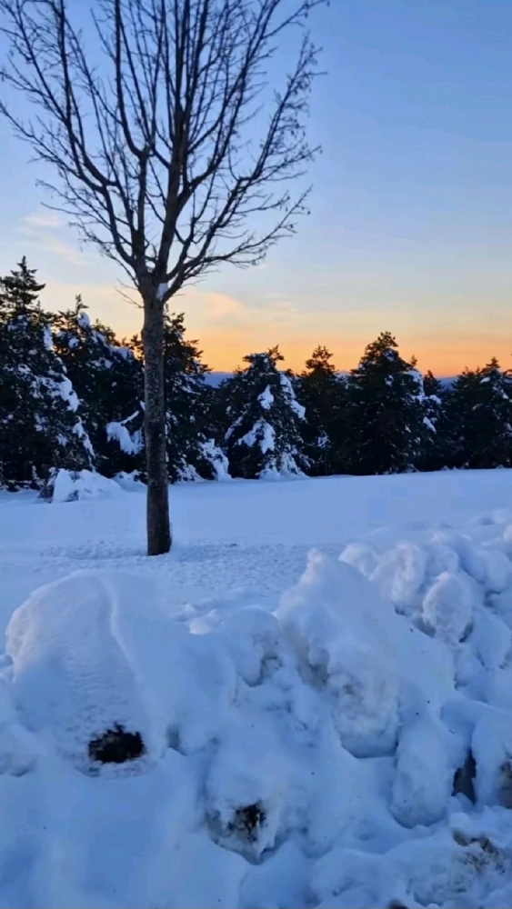 GIF uploaded by Marcos