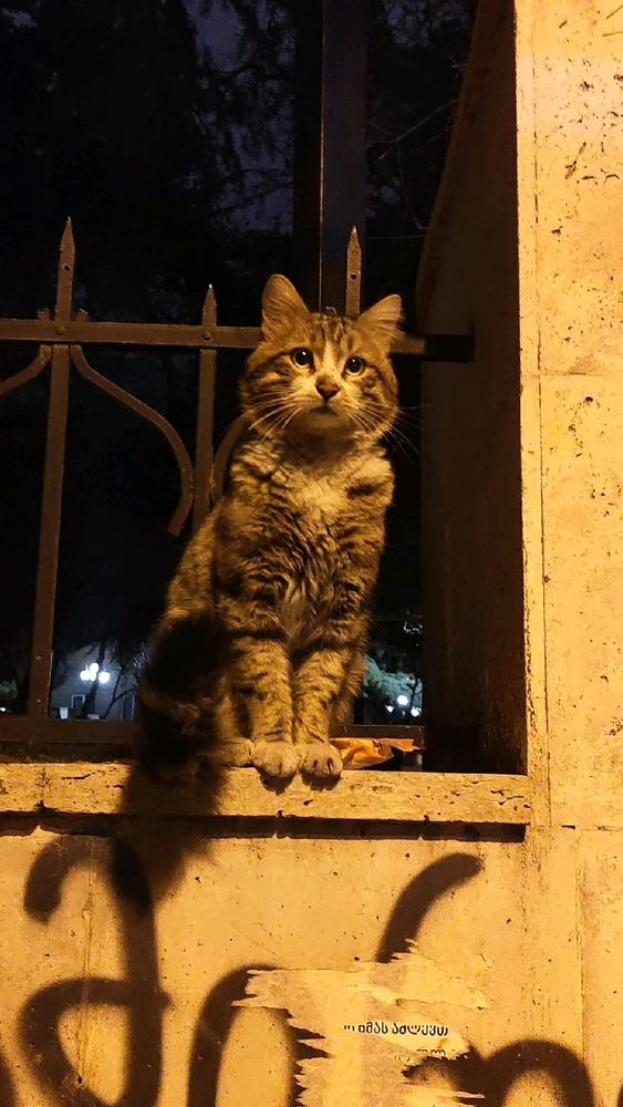 GIF uploaded by Sharvari