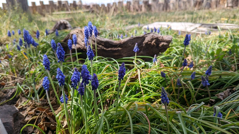 GIF uploaded by Sarah