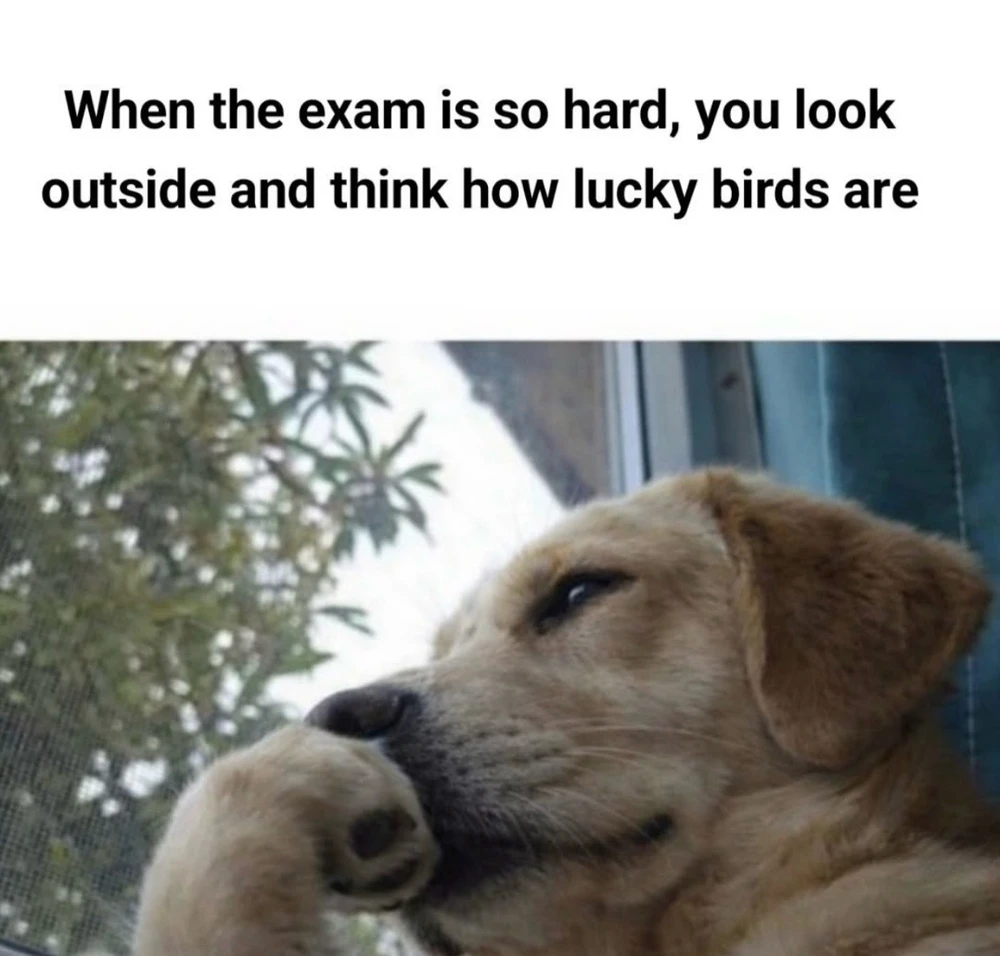 GIF uploaded by Cathy