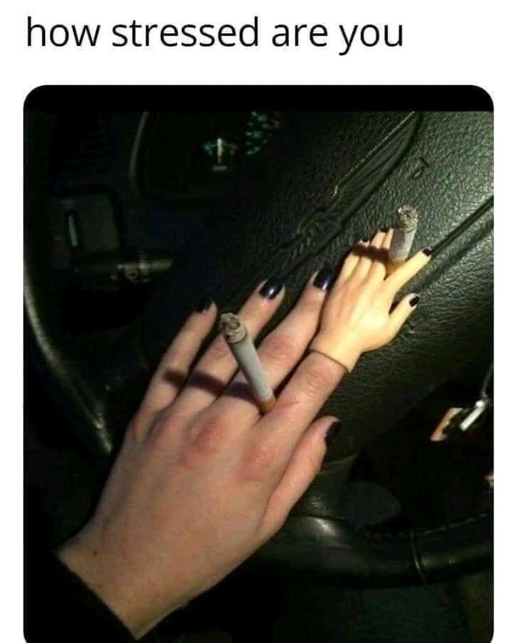 GIF uploaded by ssam