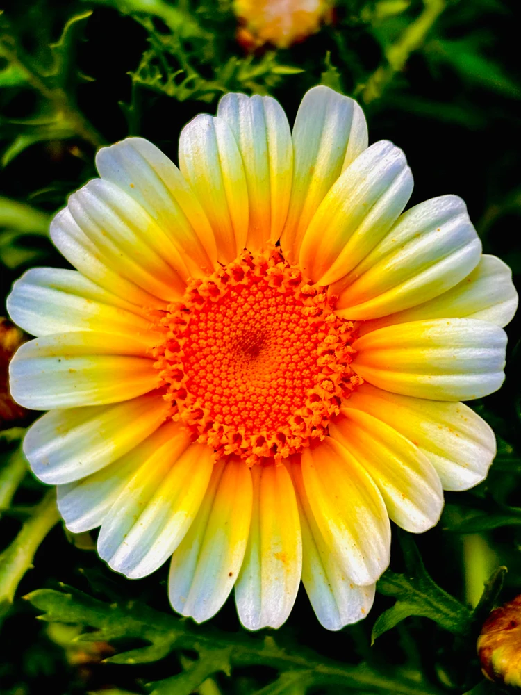 GIF uploaded by Aman Saifi