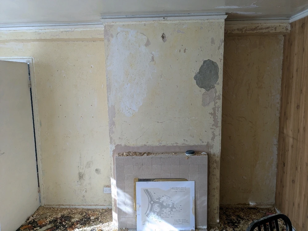 Image uploaded by Connor