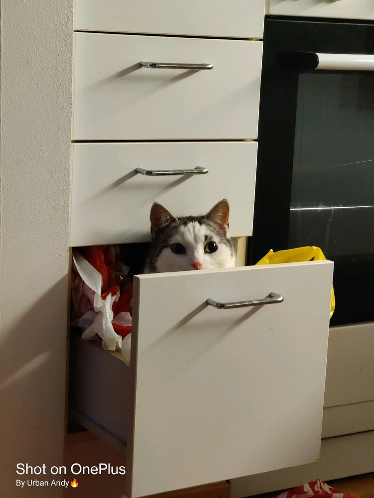 GIF-tiedoston lisäsi Urban Andy