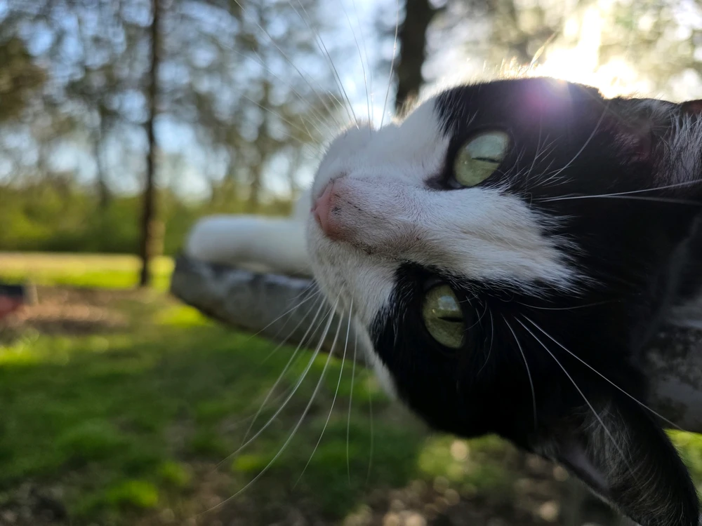 GIF uploaded by Adam