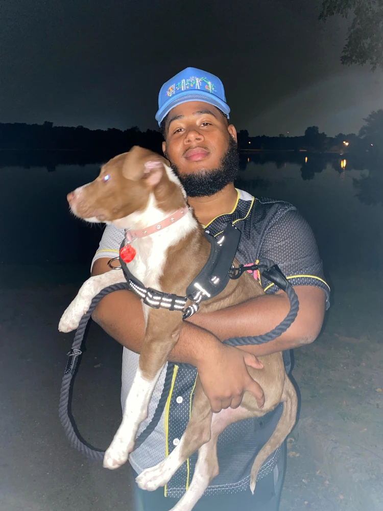 GIF uploaded by Victor