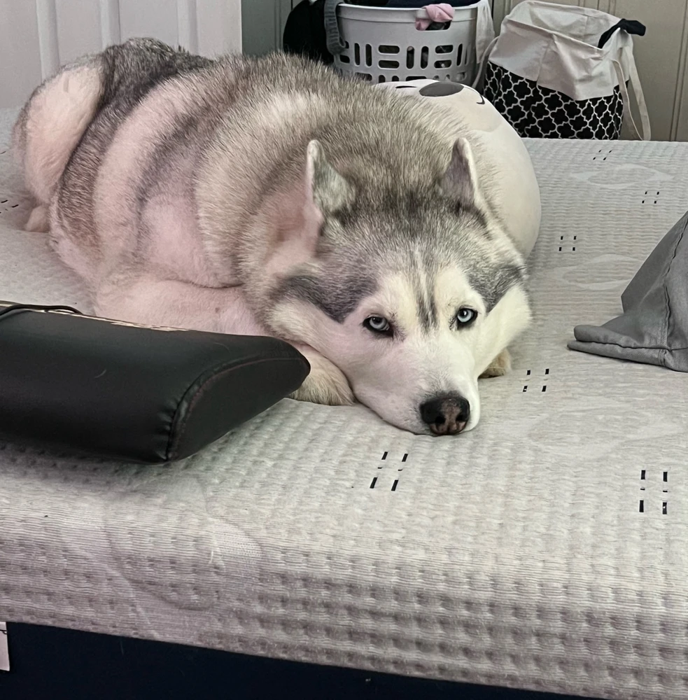 GIF uploaded by Raza