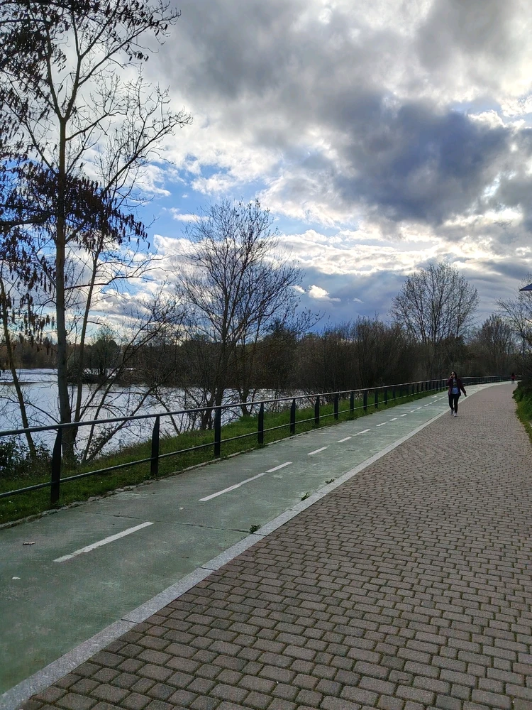 Imagen subida por Sven