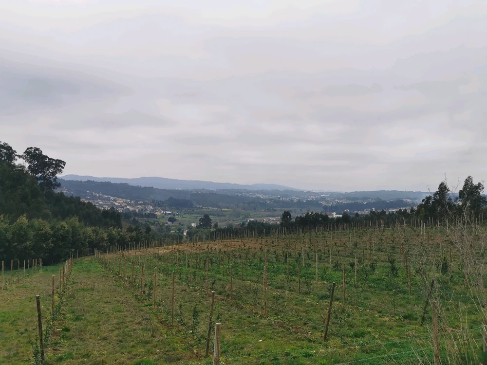 GIF uploaded by Sergio