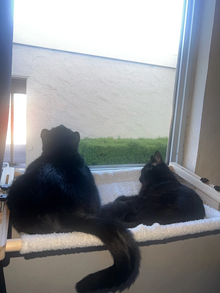 GIF uploaded by Dulce