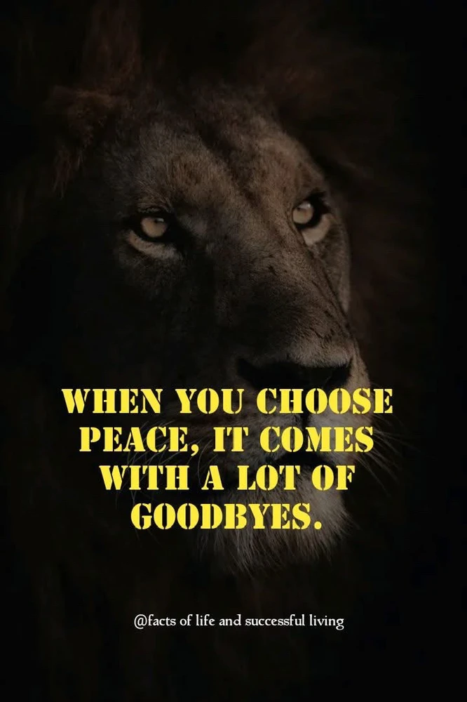 GIF uploaded by William