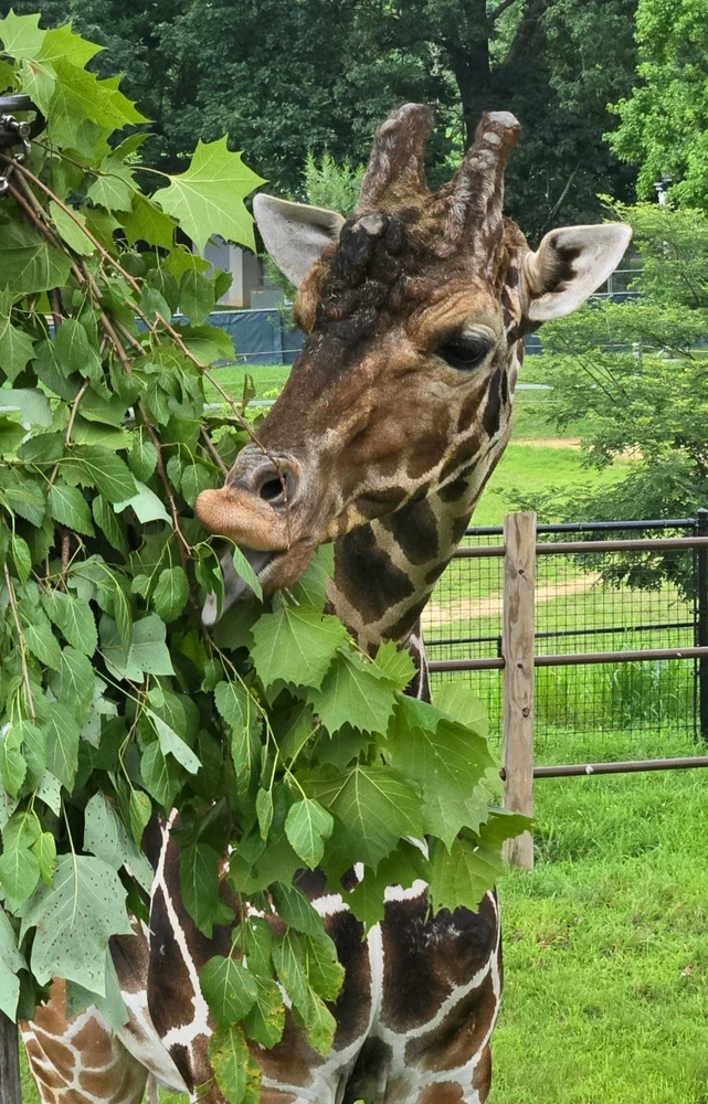 GIF uploaded by Erin