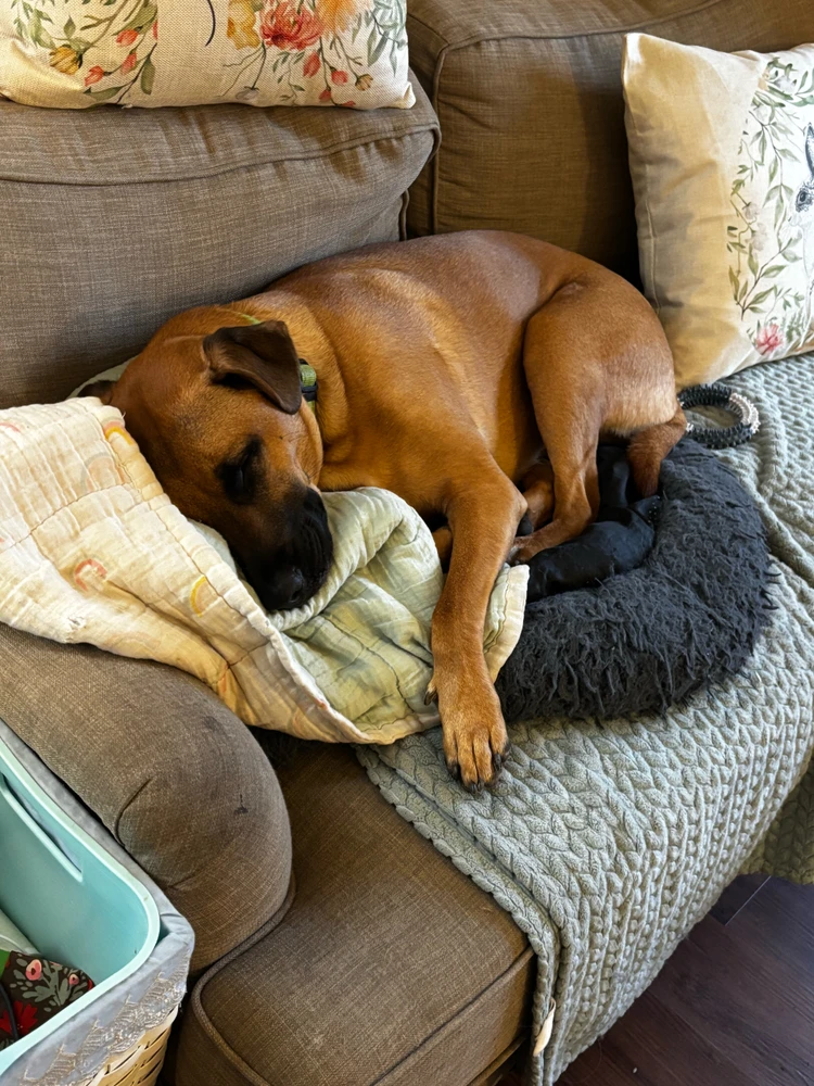 GIF uploaded by Jenn