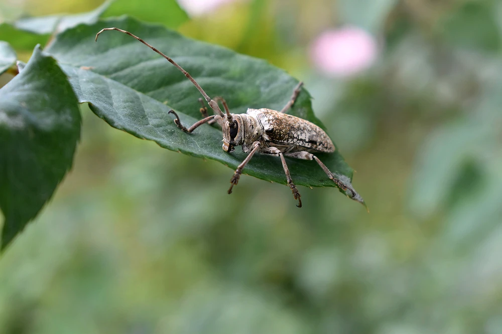 GIF subido por Daniel