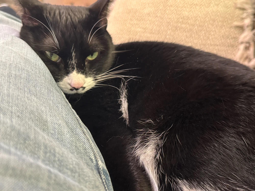 GIF uploaded by Matthew