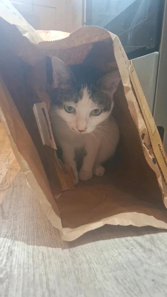 GIF uploaded by Harry