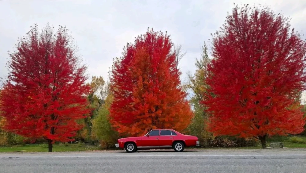 GIF uploaded by Jess 🌻