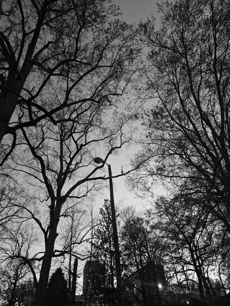 GIF uploaded by Cory