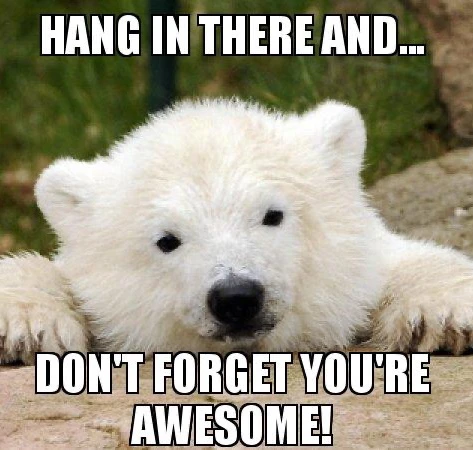 GIF uploaded by Eversti