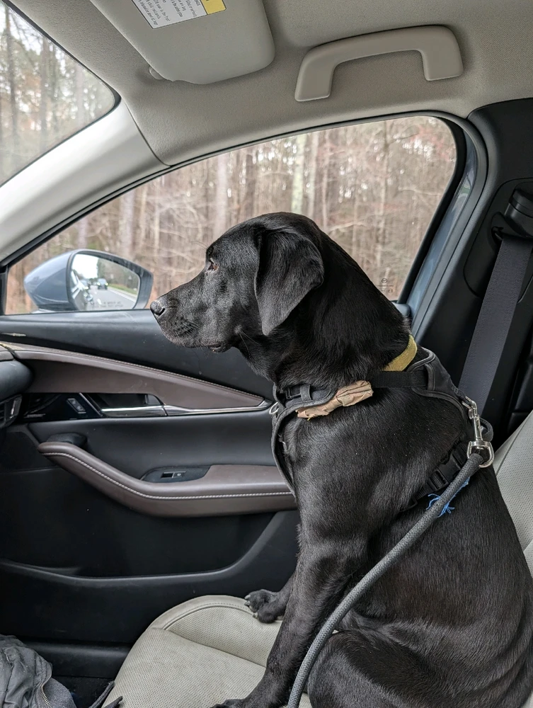 GIF uploaded by Alex