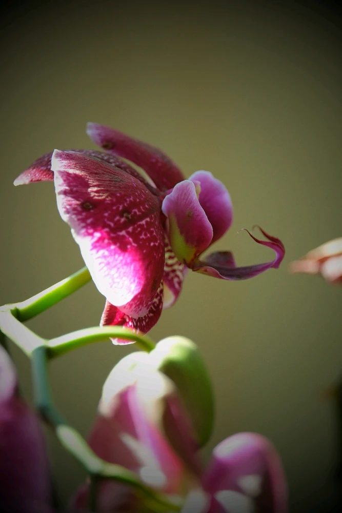 GIF uploaded by William