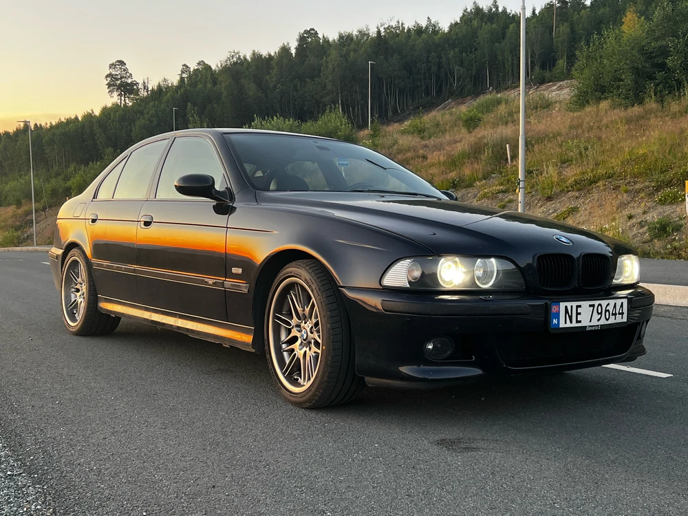 Image uploaded by Steffen